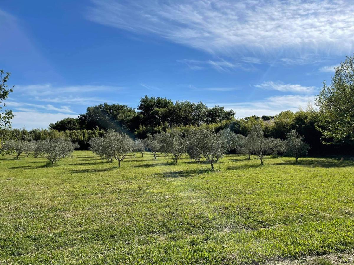 Appartement de charme Sud Luberon classé 4 étoiles Puyvert Esterno foto